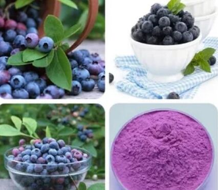 Obst -Blaubeerzugextrakt